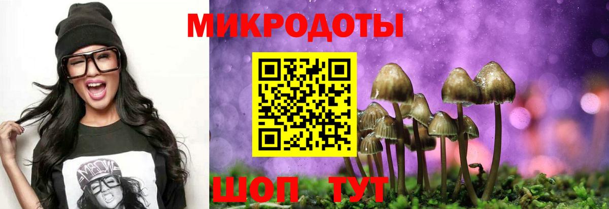 Псилоцибиновые грибы MAGIC MUSHROOMS Сызрань